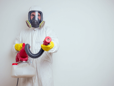 About Bryantsville Termite Inspection - termite inspection experts in Bryantsville